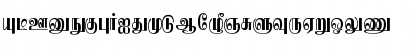 Eelamlead Plain Font Eelamlead Plain Font