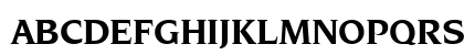 Navarro Bold Italic Navarro Bold Italic