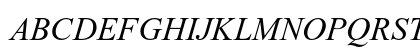 Times New Roman Italic Times New Roman Italic
