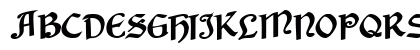 PaloraSSK Bold
