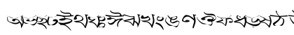 Progoty Warp Regular
