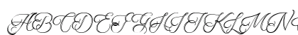 Qaskin White Personal Use Regular