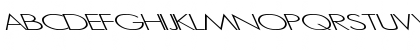 Micro Serif-Light Lefty Regular Font