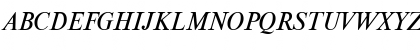 NewtonMACCTT Italic Font