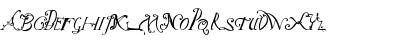 NotCaslonTwo Regular Font