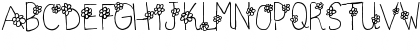 AMC_Daisy Doodle Regular Font