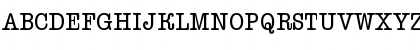 FZ UNIQUE 19 ITALIC Normal