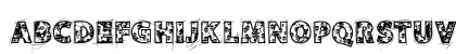 VTKS SKULLS Regular