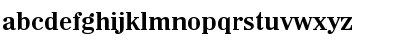 Wichita-Serial DB Bold Font Wichita-Serial DB Bold Font