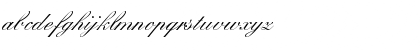 WynnerockScript-Medium Regular Font