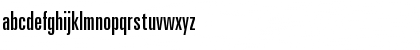Young Techs Academy Italic Italic