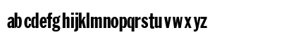 AgfaRotisSemisans Regular Font