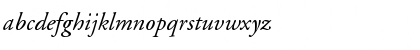 APCGaramondC Italic Font