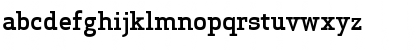 Apex Serif Medium Regular Font