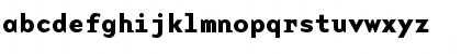 BaseMono WideBold Font