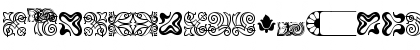 BordersOrnament 3 Regular Font
