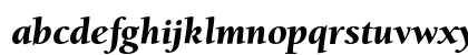 BerkeleyOldStyleEF BlackItalic
