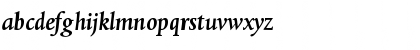 DTLAlbertinaTMedium Italic Font