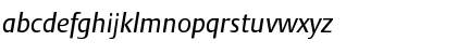 DTLArgoST Italic Font