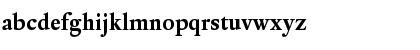 DTLElzevirT Bold Font