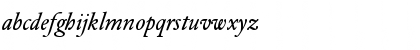 DTLElzevirTBook Italic Font DTLElzevirTBook Italic Font