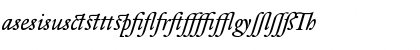 DTLElzevirTBookAlternate Italic Font DTLElzevirTBookAlternate Italic Font