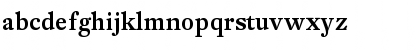DTL Fleischmann ST Medium Font DTL Fleischmann ST Medium Font