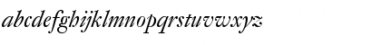 DTLFleischmannD Italic Font DTLFleischmannD Italic Font