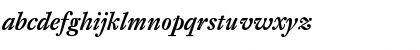 DTLFleischmannST MediumItalic Font