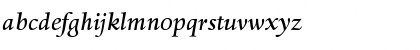 DTLHaarlemmerD MediumItalic Font DTLHaarlemmerD MediumItalic Font