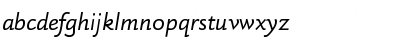 DTLHaarlemmerSansSD Italic Font DTLHaarlemmerSansSD Italic Font
