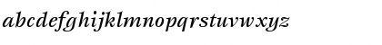 ITC Esprit Std Medium Italic Font