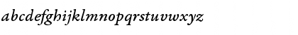 Garamond Premier Pro Medium Italic Caption Font