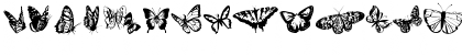 Butterflies Regular Font