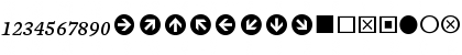 Mercury Numeric G3 Italic Font