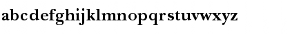 NewBaskervilleC Bold Font NewBaskervilleC Bold Font