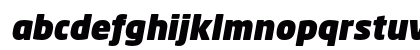 Neo Sans Std Ultra Italic