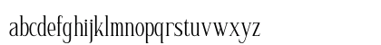 Nerhole DEMO VERSION Regular