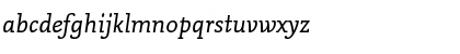 NeuseidlerAntiqua LT Std BdAlt Regular