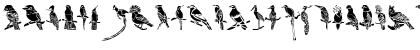 HFF Bird Stencil Regular Font HFF Bird Stencil Regular Font