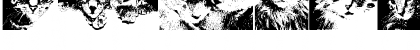 CatBats Regular Font CatBats Regular Font