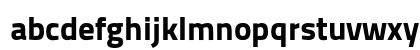 TitilliumText22L XBold