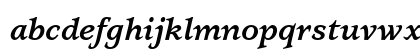 ITC Usherwood Std Bold Italic