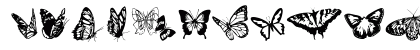 Butterflies Regular