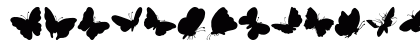ButterFly Regular
