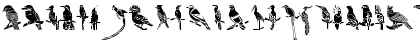 HFF Bird Stencil Regular Font HFF Bird Stencil Regular Font