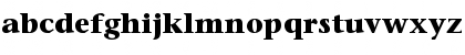 ITC Stone Serif Std Bold Font
