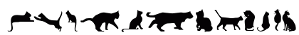 Cat Silhouettes Regular