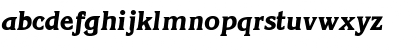 ViticaDisplaySSK Italic Font