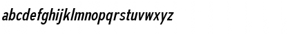 Autoradiographic Italic Font Autoradiographic Italic Font